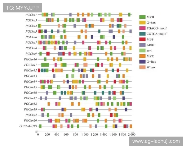 Slots游戏PG:提升游戏体验的实用技巧与PG老虎机玩法攻略 Slots游戏PG:提升游戏体验的实用技巧与PG老虎机玩法攻略